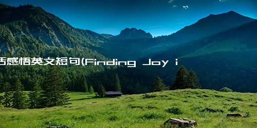 生活感悟英文短句(Finding Joy in Everyday Life Inspirational Lessons in Living Mindfully)